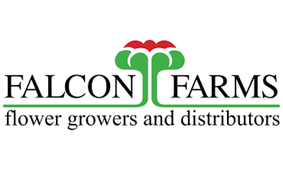FALCON-FARMS-LOGO---LOGISTICA-DE-TRANSPORTE-Y-COMERCIO-S.A.S.